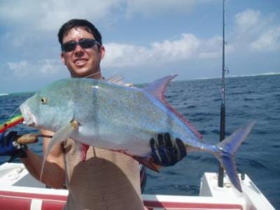 Matava Fiji, Great Barracuda